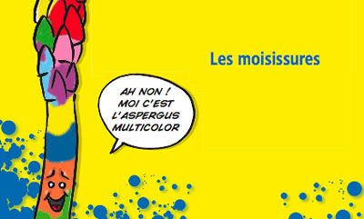 Les moisissures dans la maison