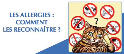 Les allergies : comment les reconna�tre
